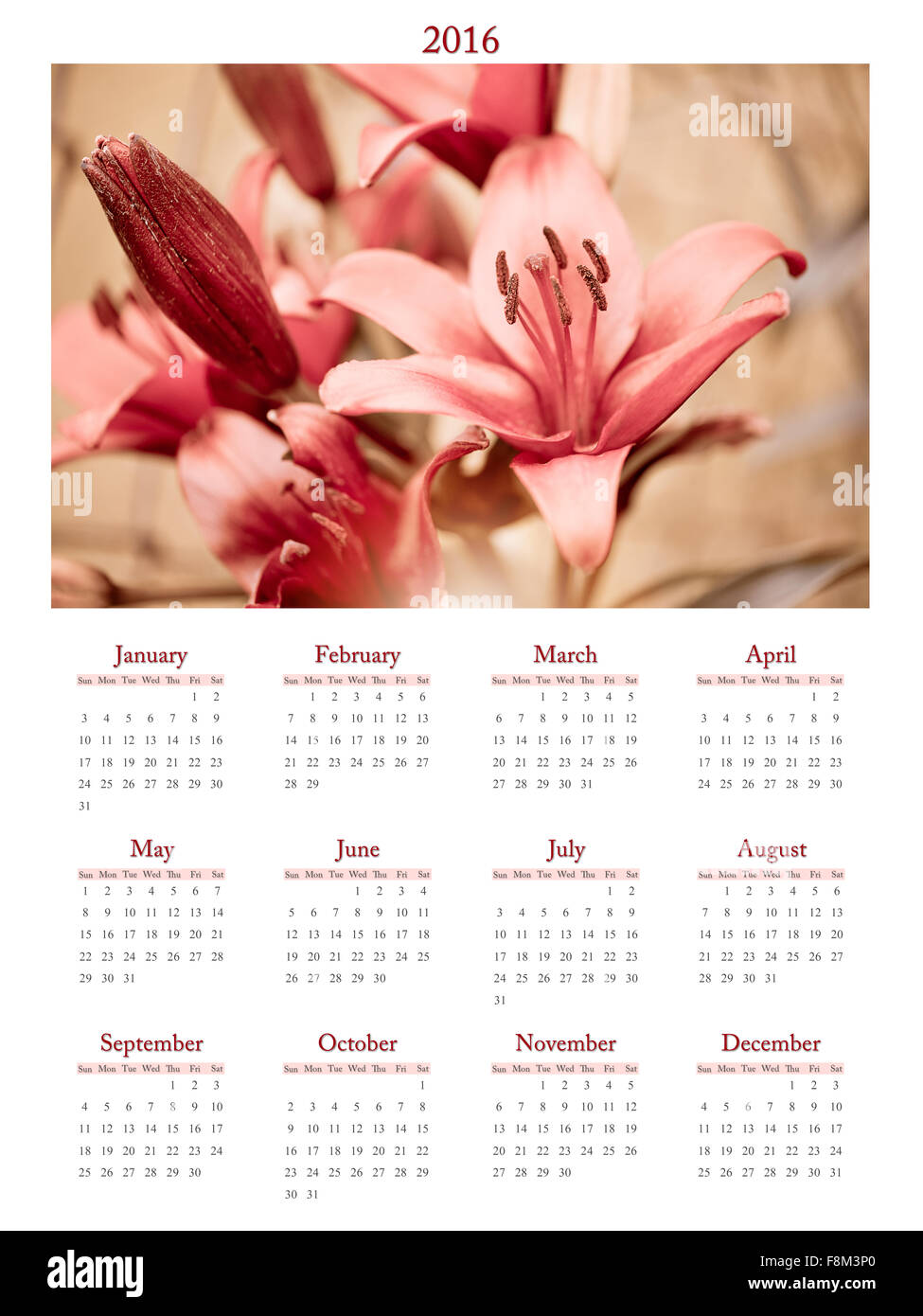 Makro-Lilium Blumen Kalender 2016 Sepia große Blume Laub-Lily mehrjährige Pflanze in der Familie Liliaceae, Blumen blühen... Stockfoto
