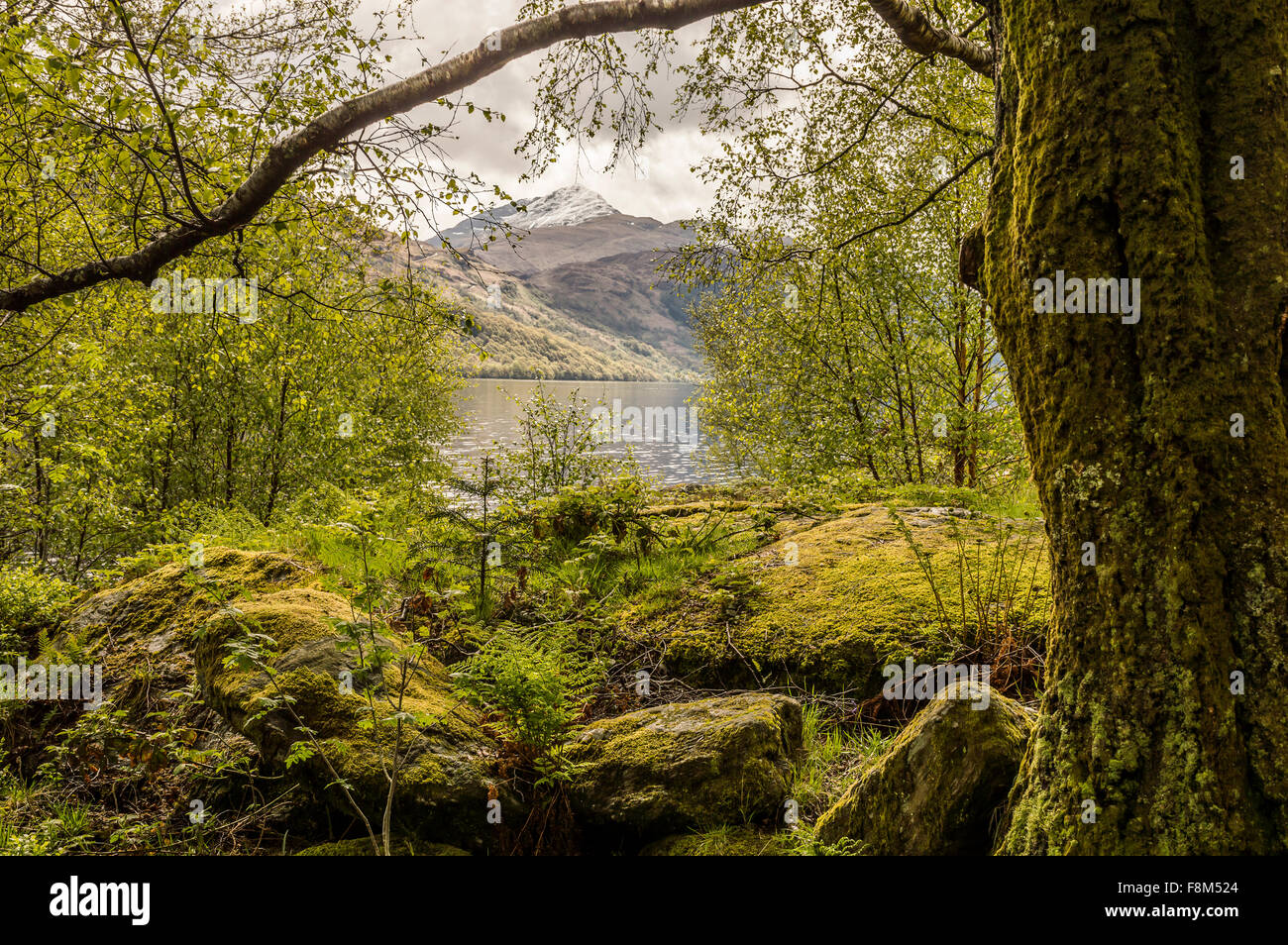 Schottische Landschaft am See Stockfoto