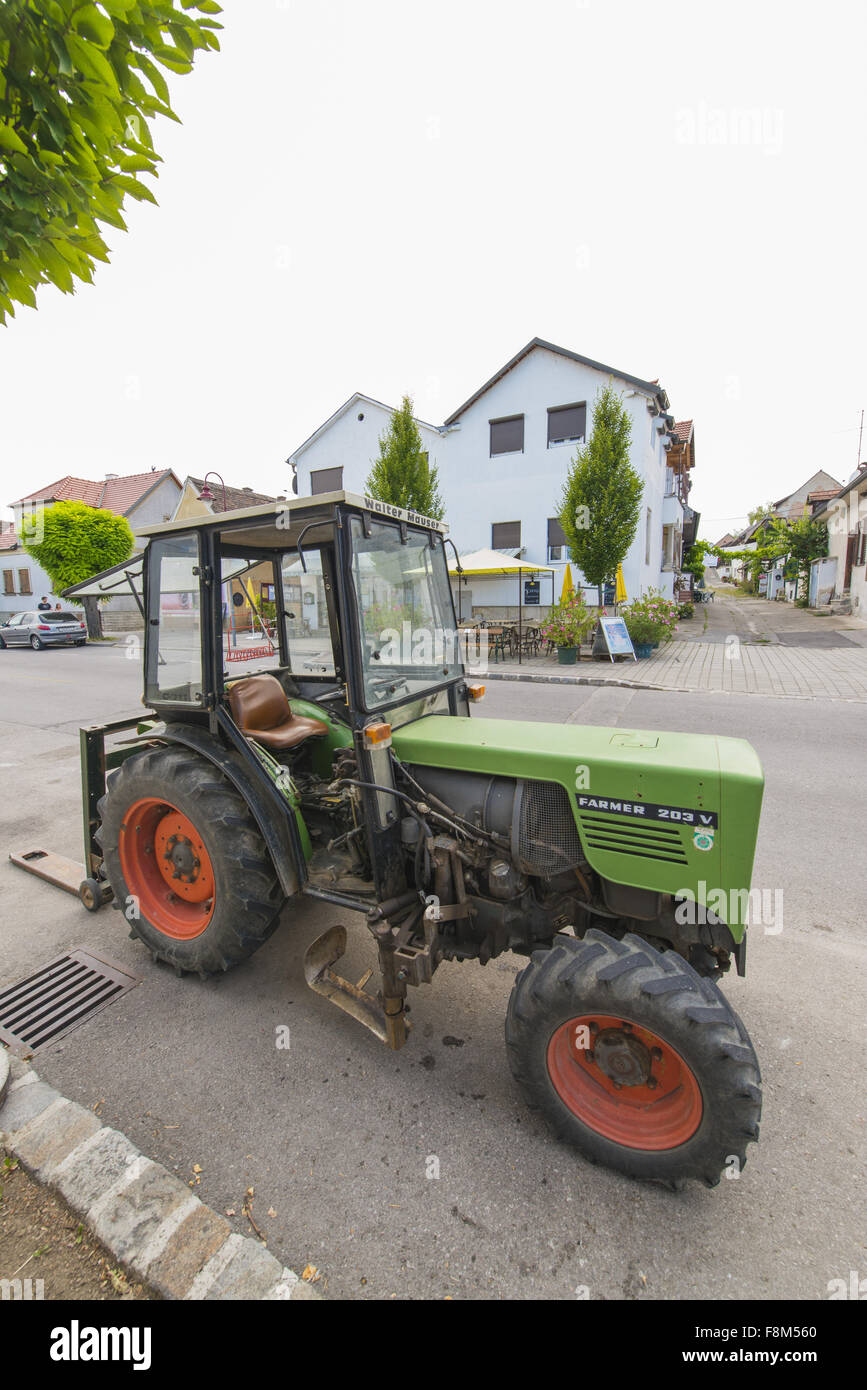 Mörbisch am Neusiedler See, Seewinkel, Burgenland, Österreich Stockfoto