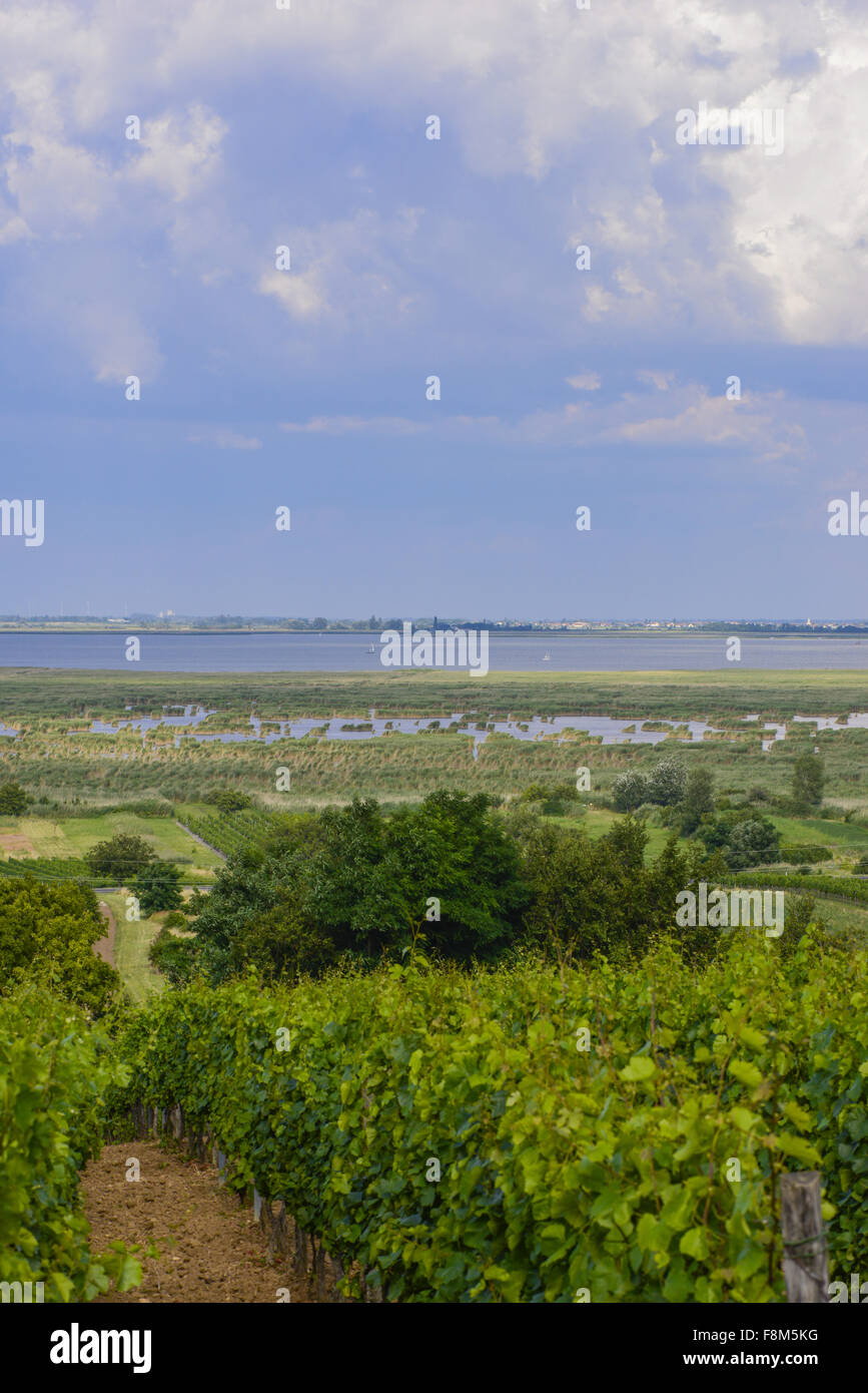 Mörbisch am Neusiedler See, Seewinkel, Burgenland, Österreich Stockfoto