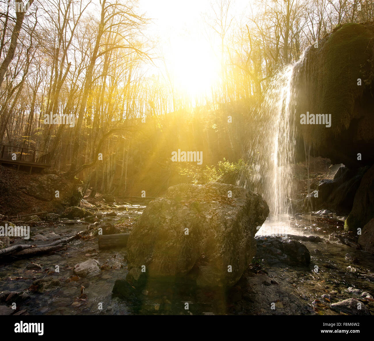 Wasserfall im Wald am sonnigen Morgen Stockfoto
