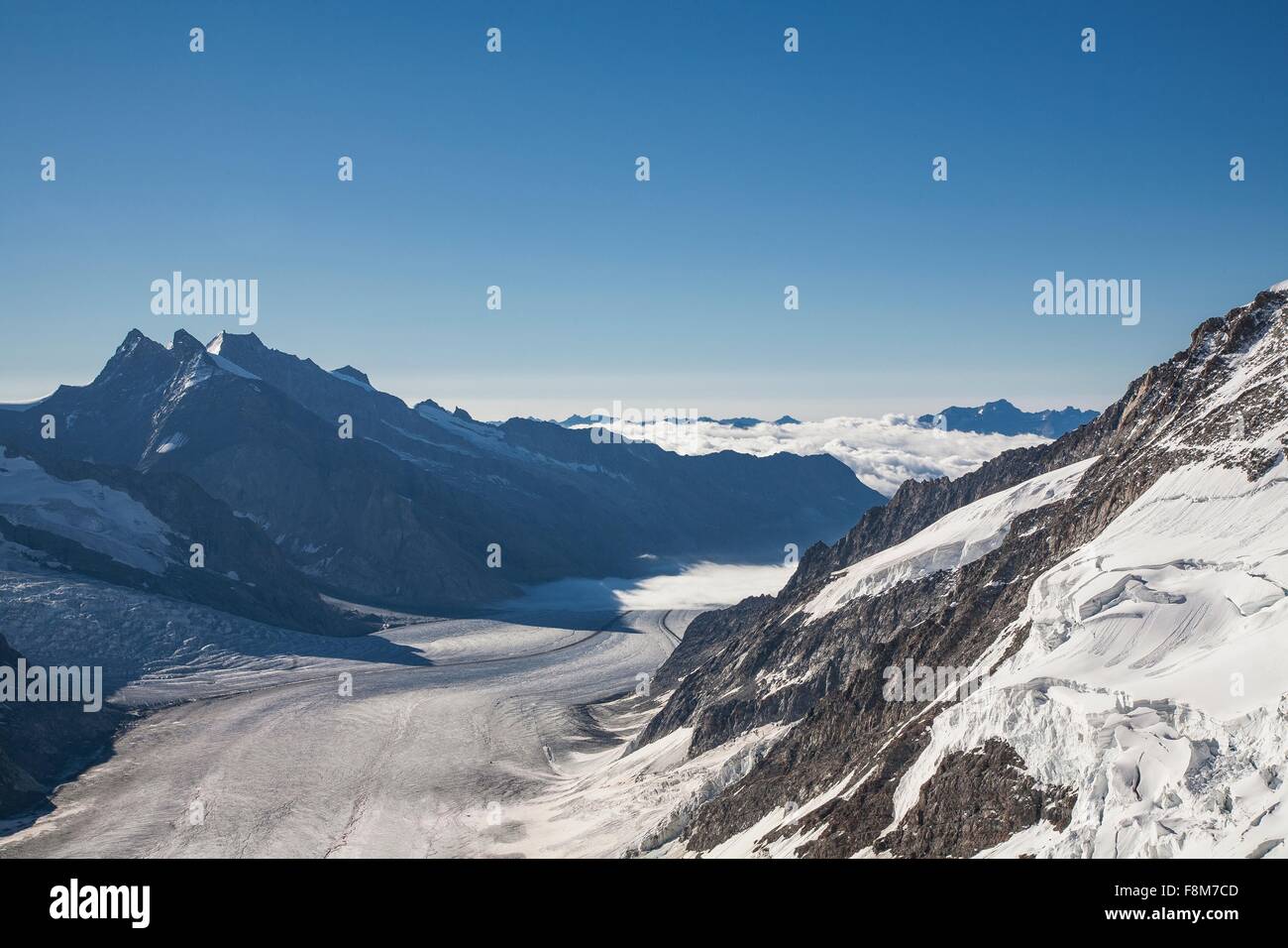 Erhöhten Blick auf Aletsch Glaser, Kanton Bern, Schweiz Stockfoto