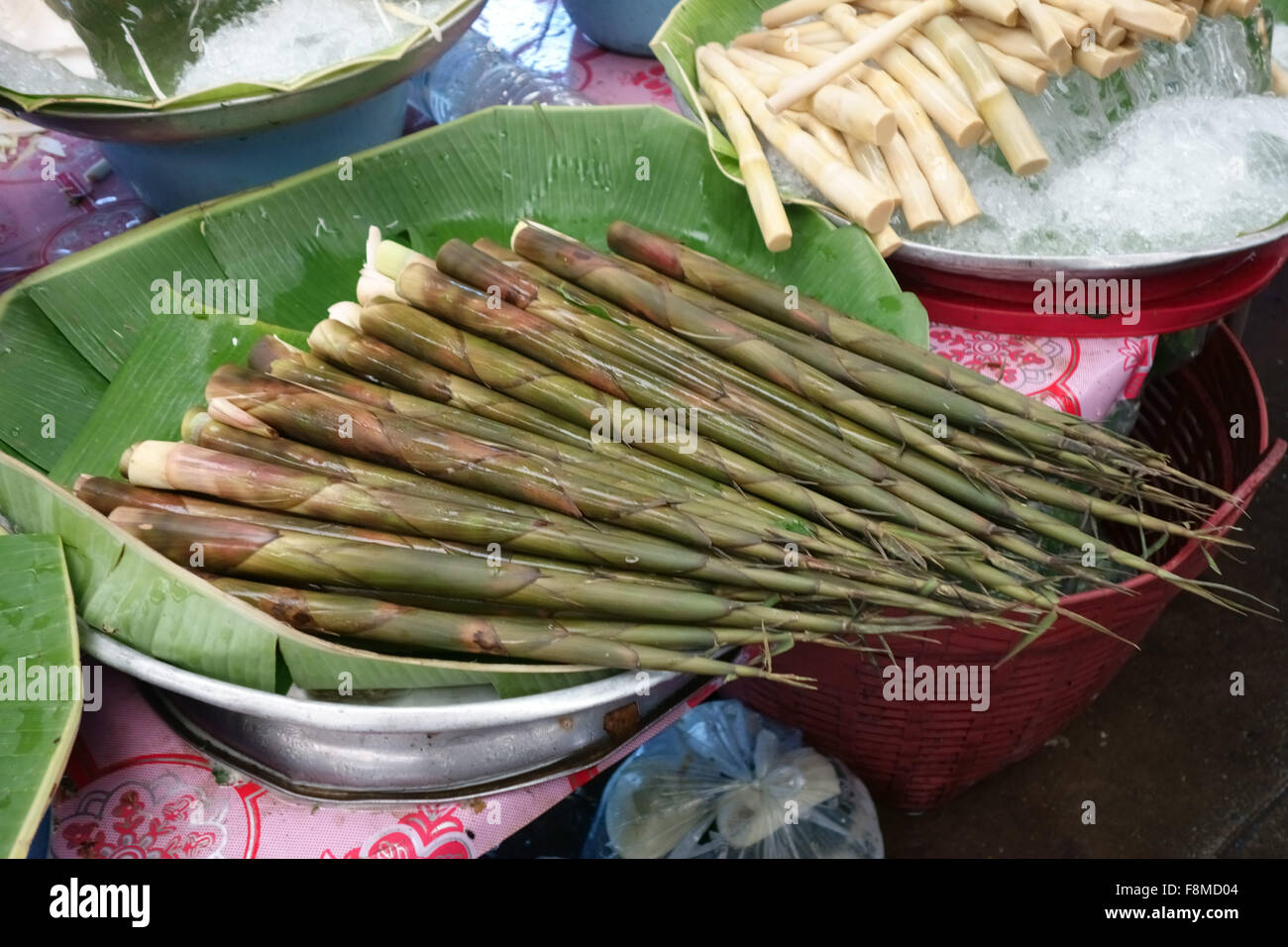 Bambussprossen, vorbereitet für den Verkauf in einer Markthalle in Ther Zentrum von Bangkok, Thailand, Februar Stockfoto