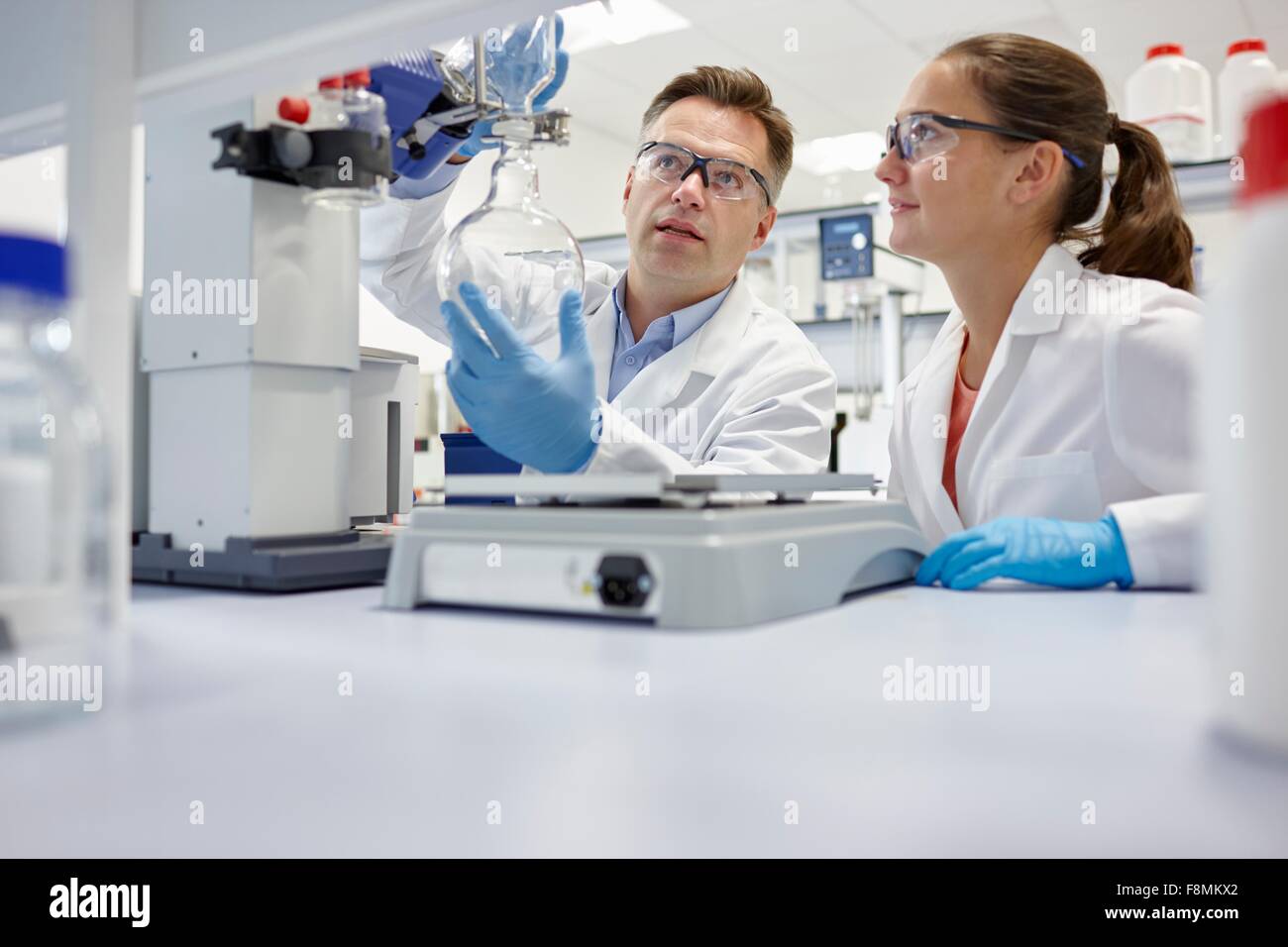 Wissenschaftler mit Drehverdampfer im Labor Stockfoto