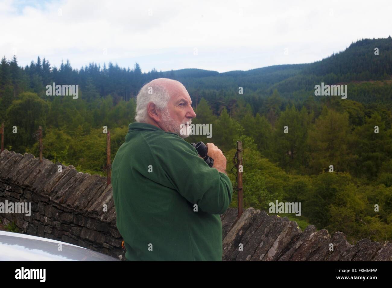 Mann-Vogelbeobachtung am Aussichtspunkt zwischen Braithwaite Dorf und Whinlatter, Cumbria, UK Stockfoto