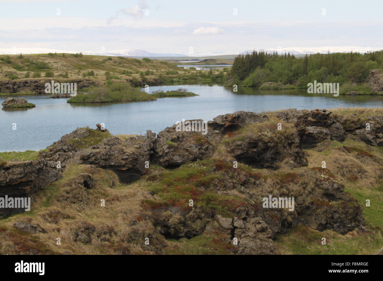 Lavafelsen am See Myvatn Nordosten Island Stockfoto