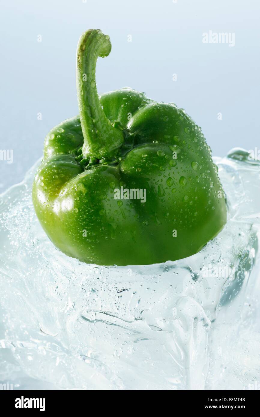 Grüner Pfeffer in einem Eisblock Stockfoto