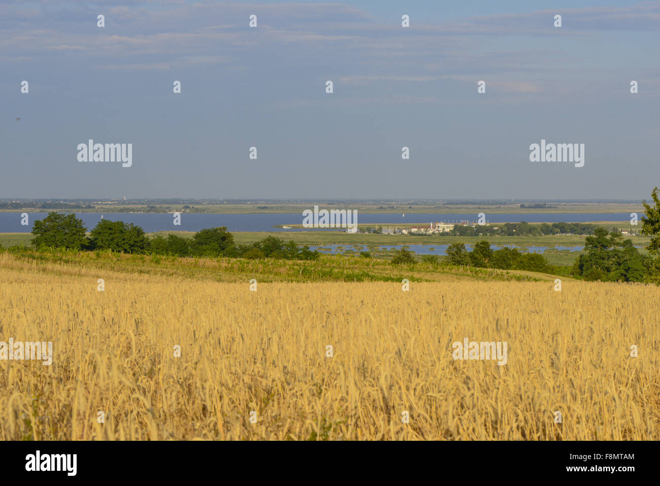 Mörbisch am Neusiedler See, Seewinkel, Burgenland, Österreich Stockfoto