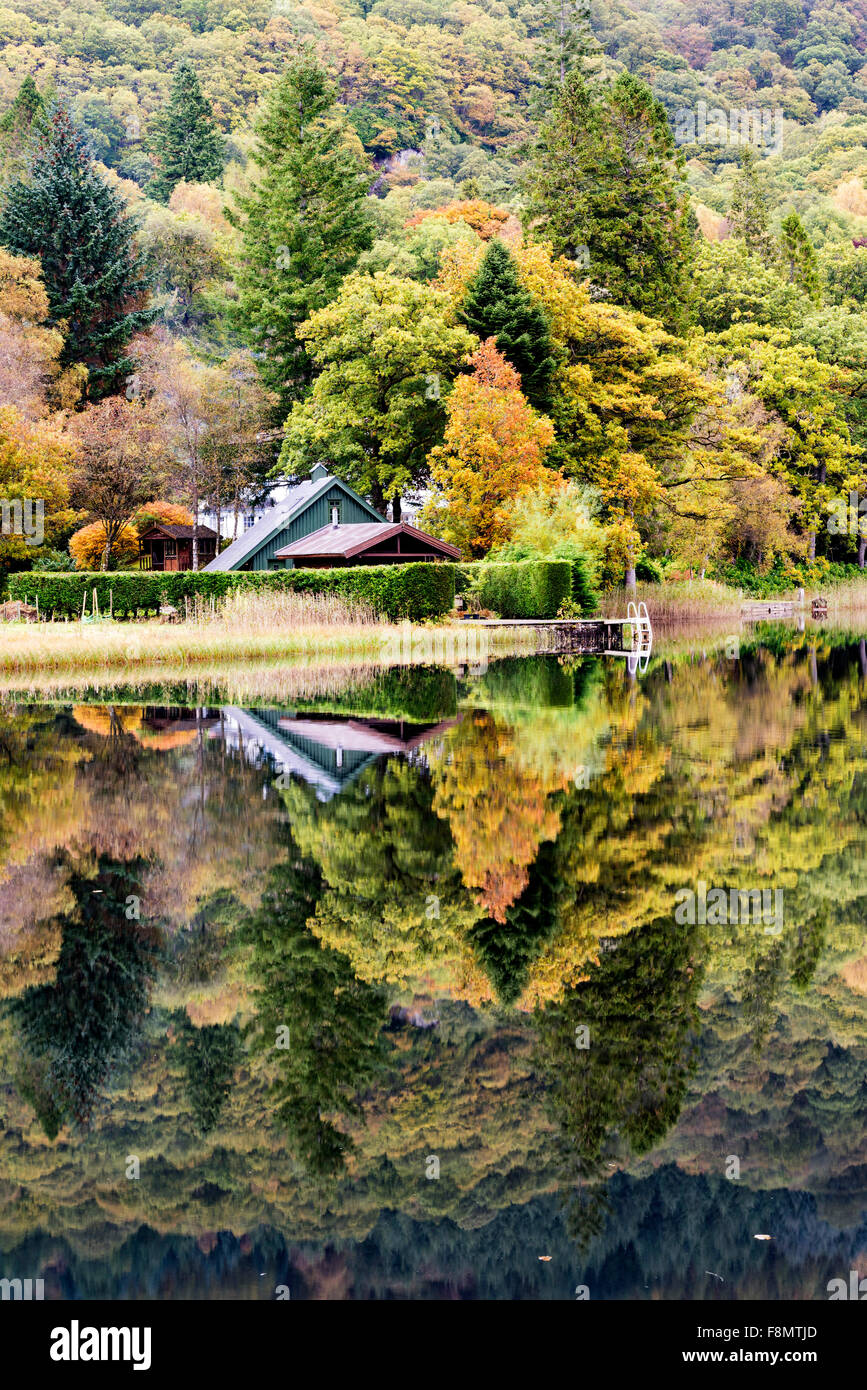 Herbstfärbung an den Ufern des Loch Ard in den Loch Lomond und Trossachs National park Stockfoto