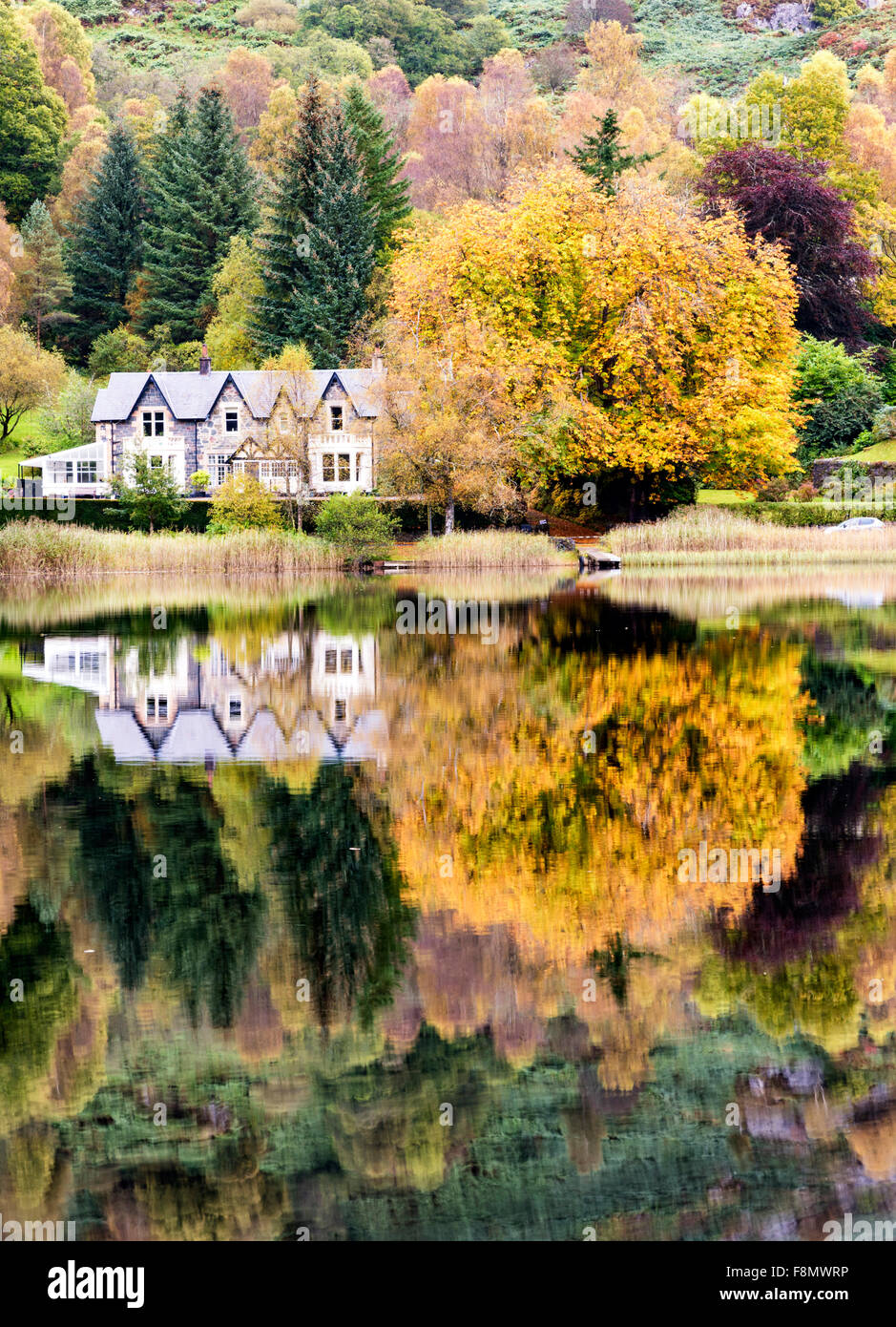Herbstfärbung an den Ufern des Loch Ard in den Loch Lomond und Trossachs National park Stockfoto