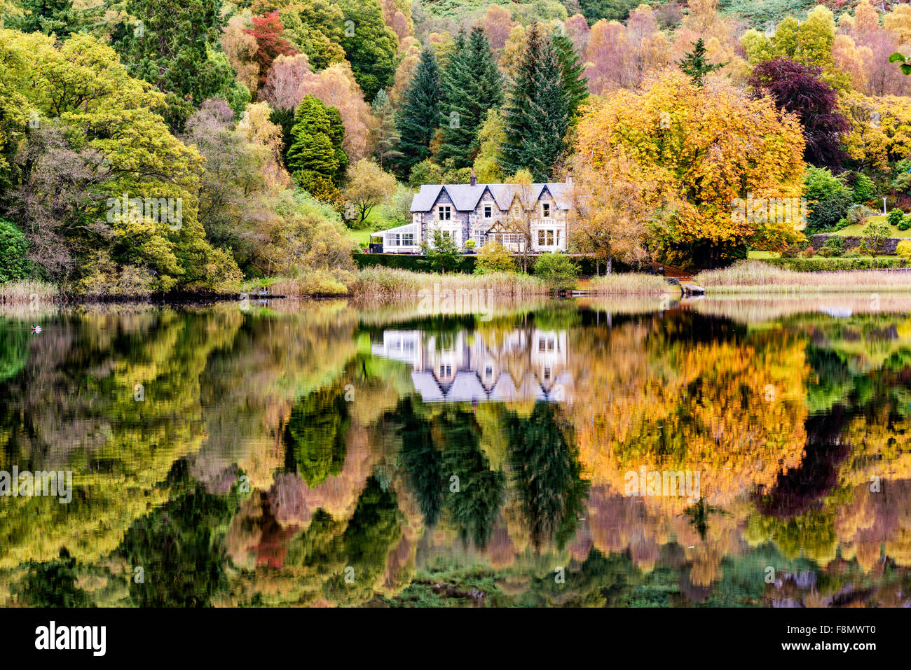 Herbstfärbung an den Ufern des Loch Ard in den Loch Lomond und Trossachs National park Stockfoto