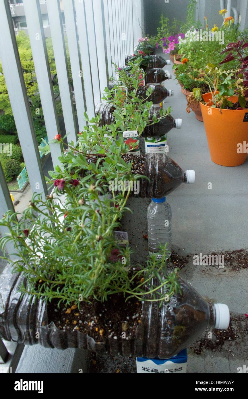 Eco Gartenarbeit Mit Recycelten Pet Flaschen Und Kunststoff