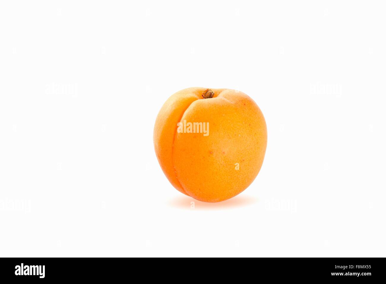 Die Aprikose vor einem weißen Hintergrund Stockfoto