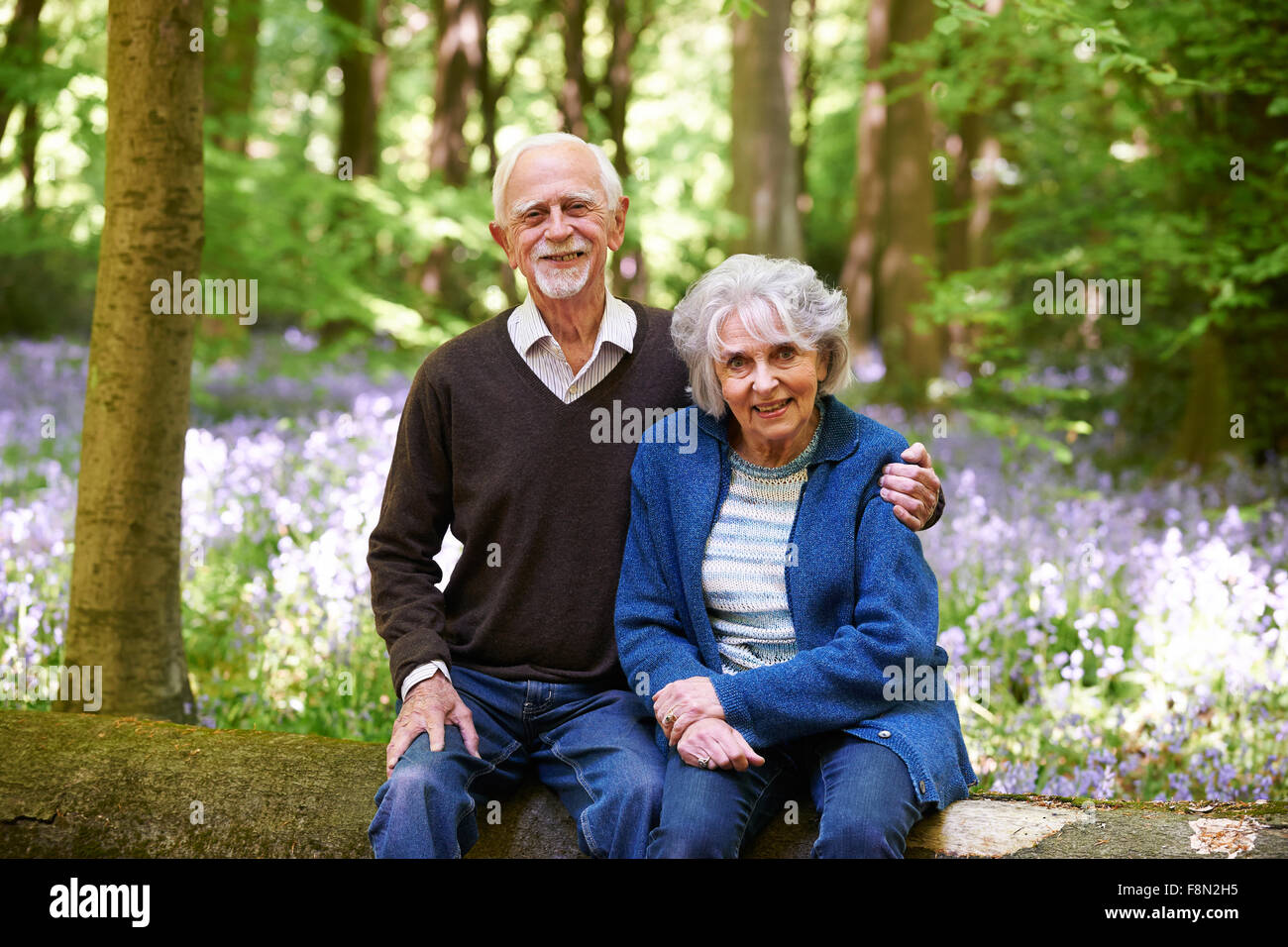 Älteres paar sitzen auf Log In Bluebell Holz Stockfoto
