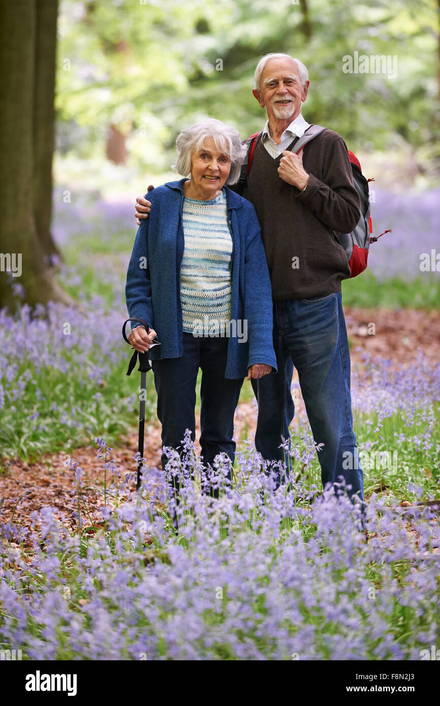 Älteres Paar zu Fuß durch Bluebell Holz Stockfoto