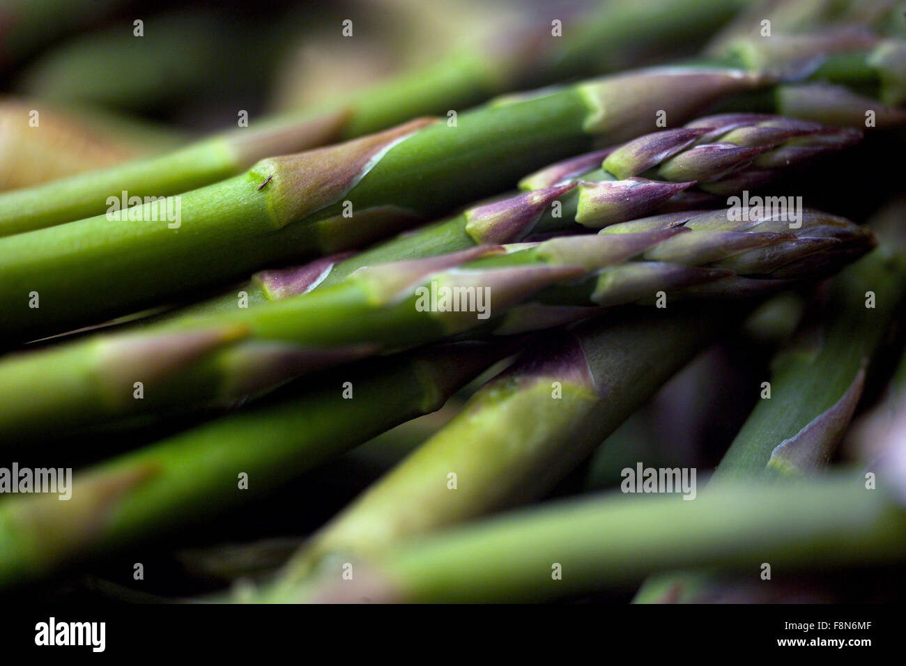 Spargelstangen Stockfoto
