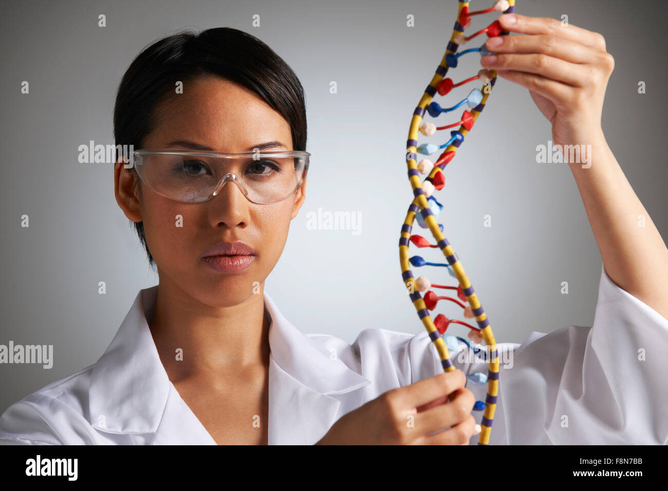 Wissenschaftlerin Studium molekulare Modell In Form der Helix Stockfoto