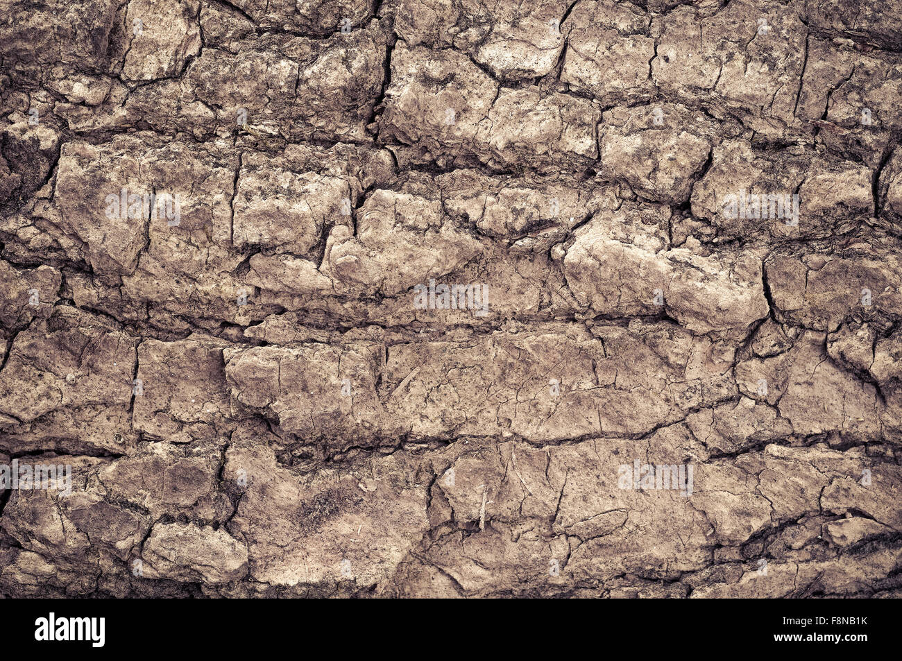 Dark Wood Panels Stockfotos und -bilder Kaufen - Alamy