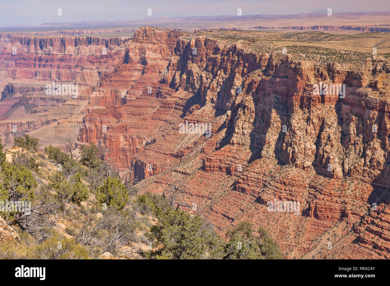 Landschaft des Grand Canyon. Grand Canyon Nationalpark in Arizona; USA; Amerika Stockfoto