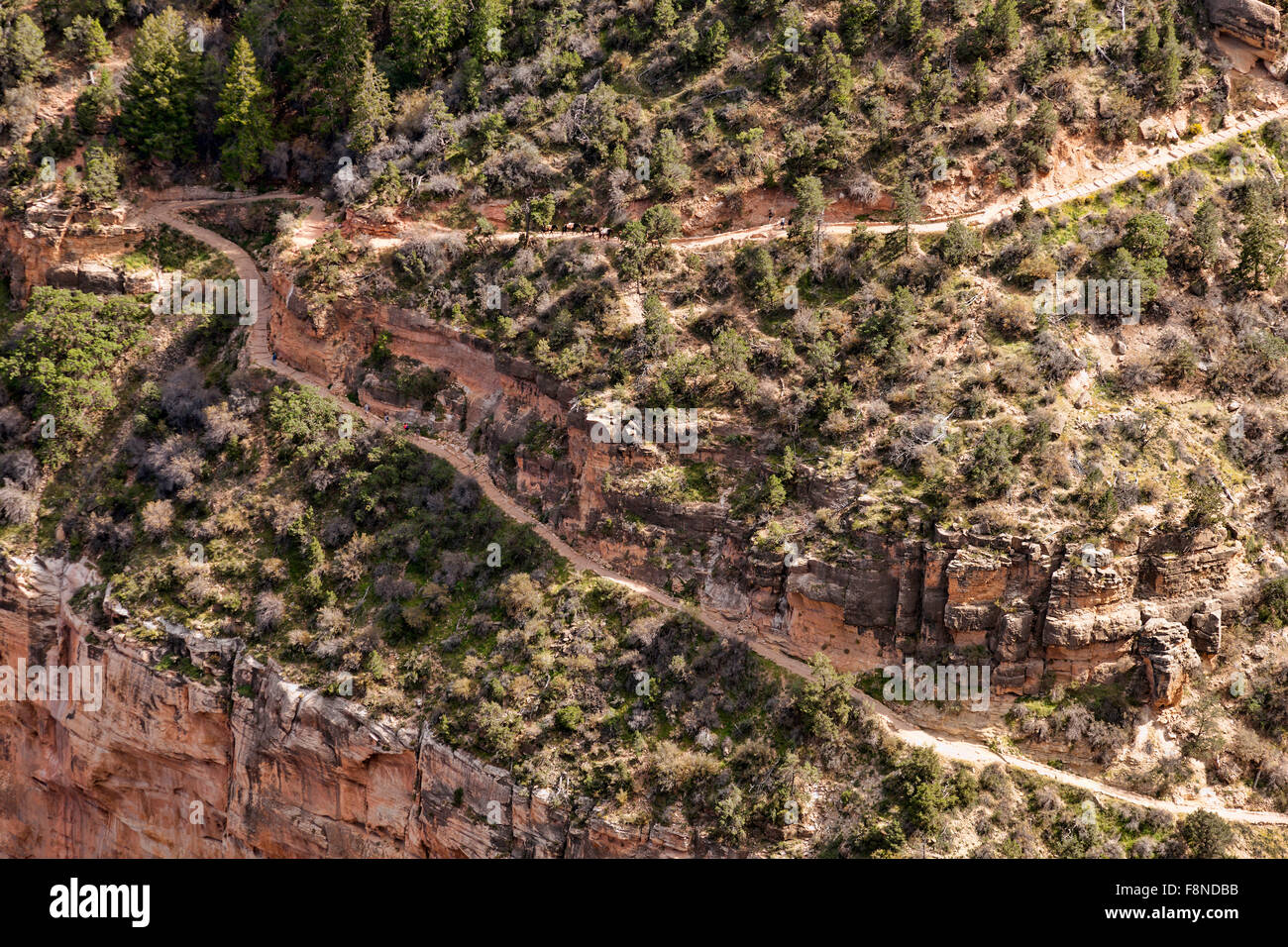 Landschaft von Grant Canyon. Grant-Canyon-Nationalpark in Arizona; USA; Amerika Stockfoto