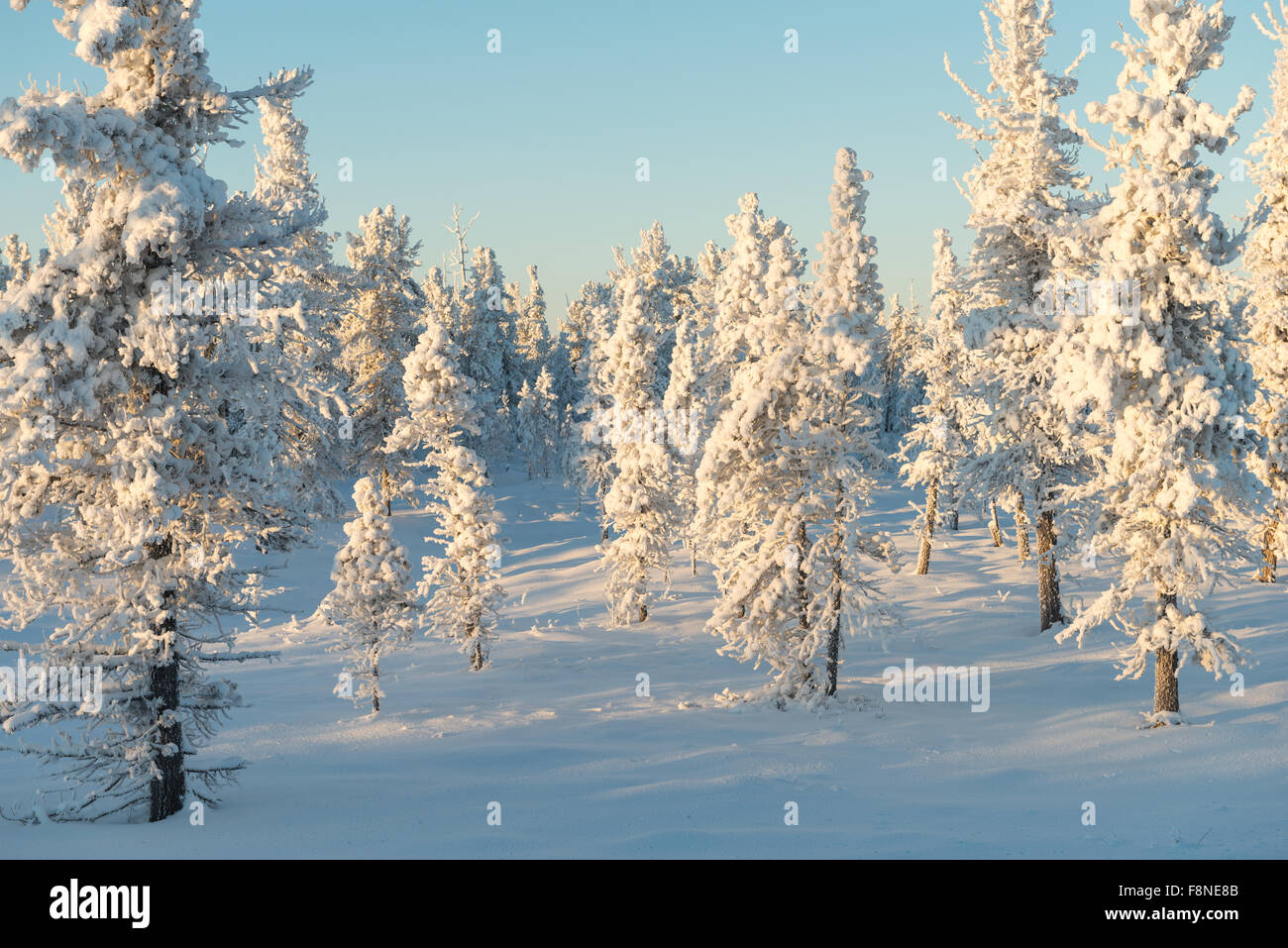 Schönen Landschaften der wilden Natur der Halbinsel Yamal, Russland Stockfoto