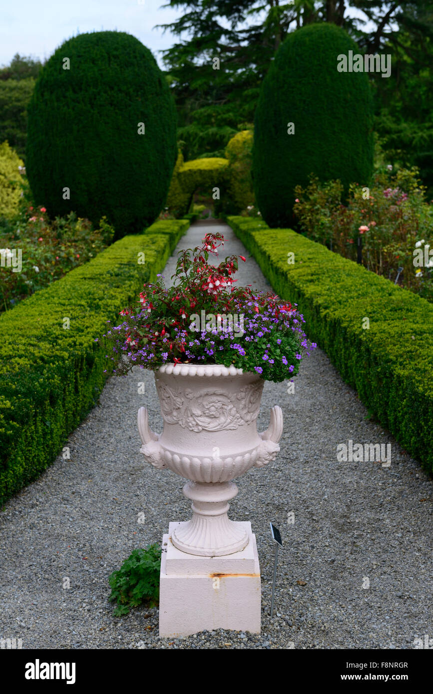 Formale Blumengarten Gärten Urn ornamentalen Pflanzer Altamont Gärten Carlow Box Hecke Eibe Formschnitt RM floral Stockfoto