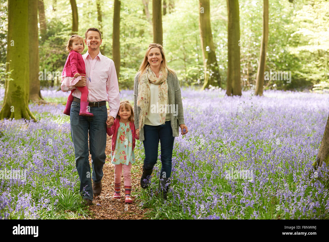 Familie zu Fuß durch Bluebell Woods zusammen Stockfoto