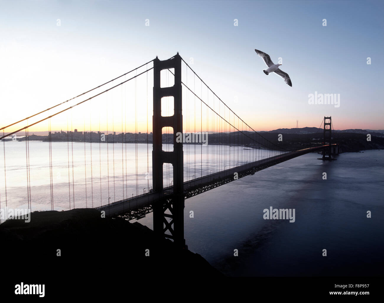 USA, California, Golden Gate Bridge mit Möwe Stockfoto