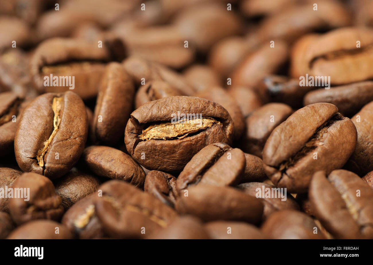 Geröstete Kaffeebohnen, flachen DOF Stockfoto