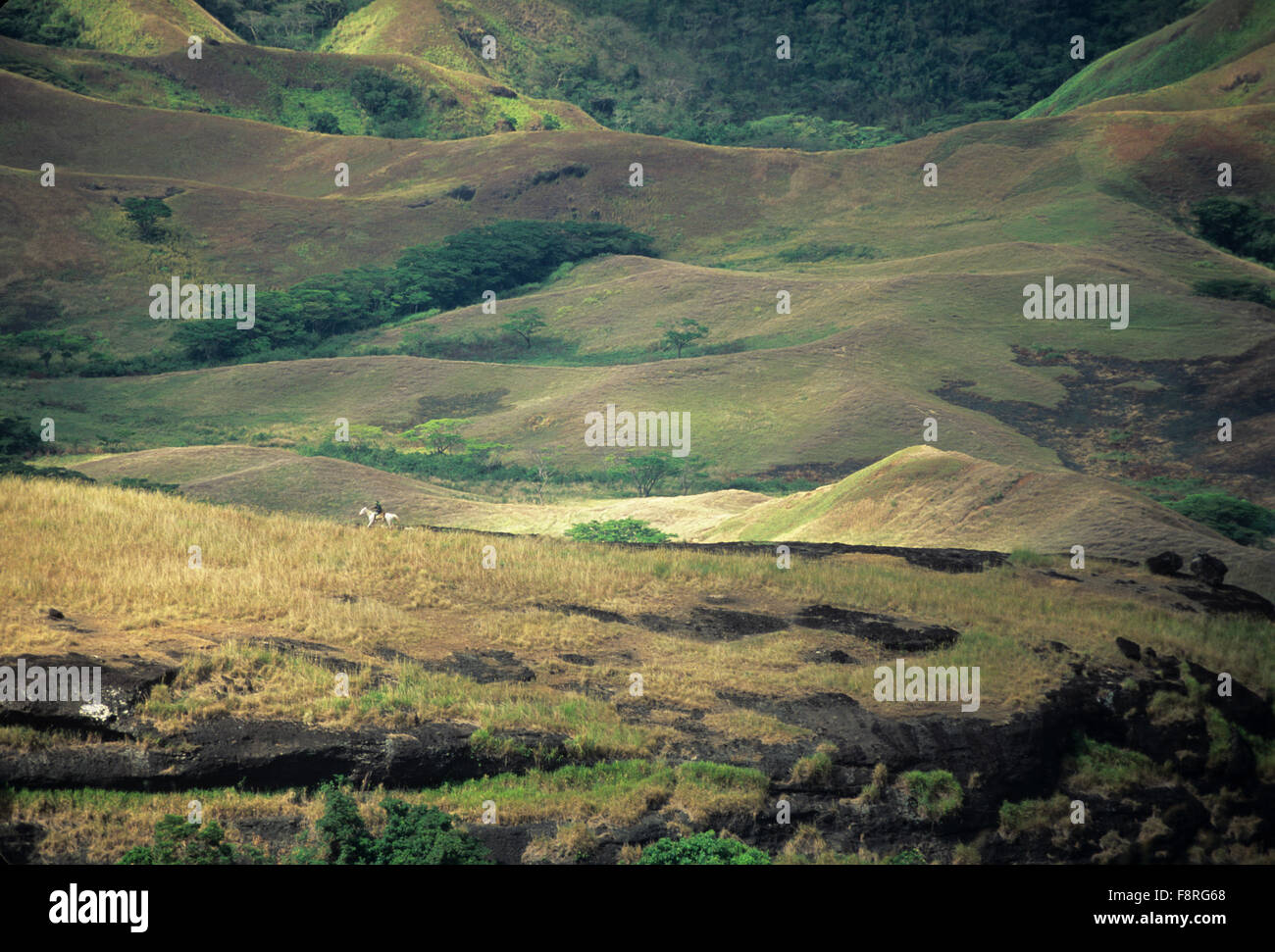 Landschaftsbild des Pferdes am Grat, Fidschi-Inseln, Nausori-Hochland, Viti Levu Stockfoto