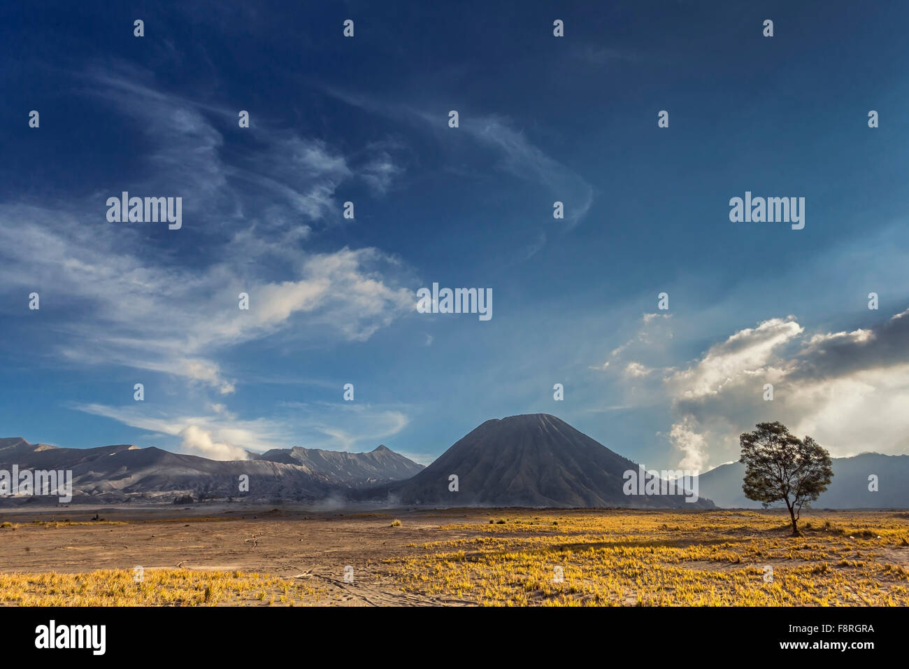 Nationalpark Mount Bromo, Ost-Java, Indonesien Stockfoto