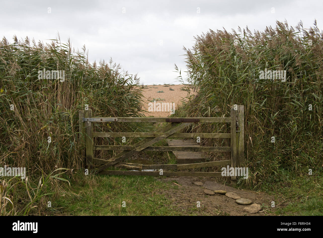 Ein altes Tor Trennung Betten das Schilf von Chesil Beach an einem grauen Herbsttag im Oktober, Dorset Stockfoto