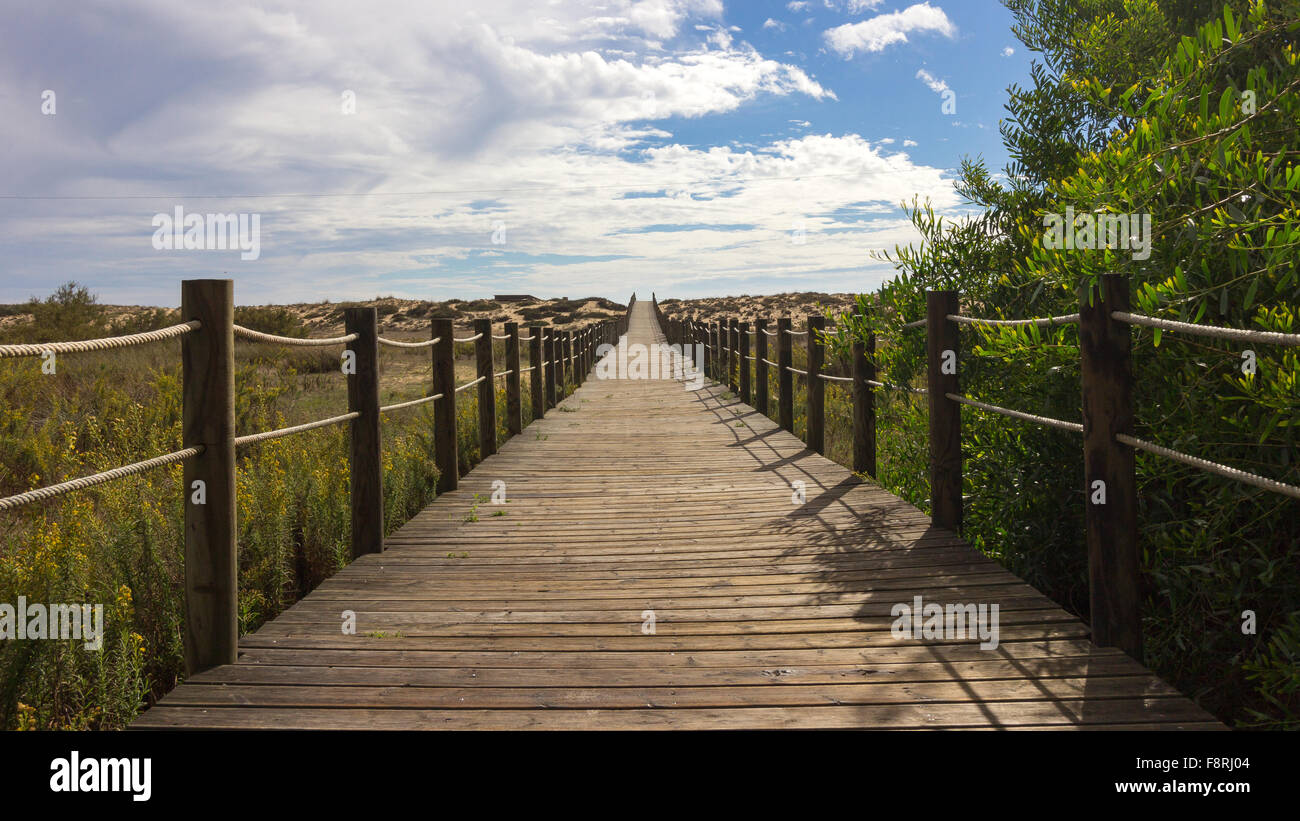 Holzsteg zum Strand, Dunas Douradas, Faro, Portugal Stockfoto