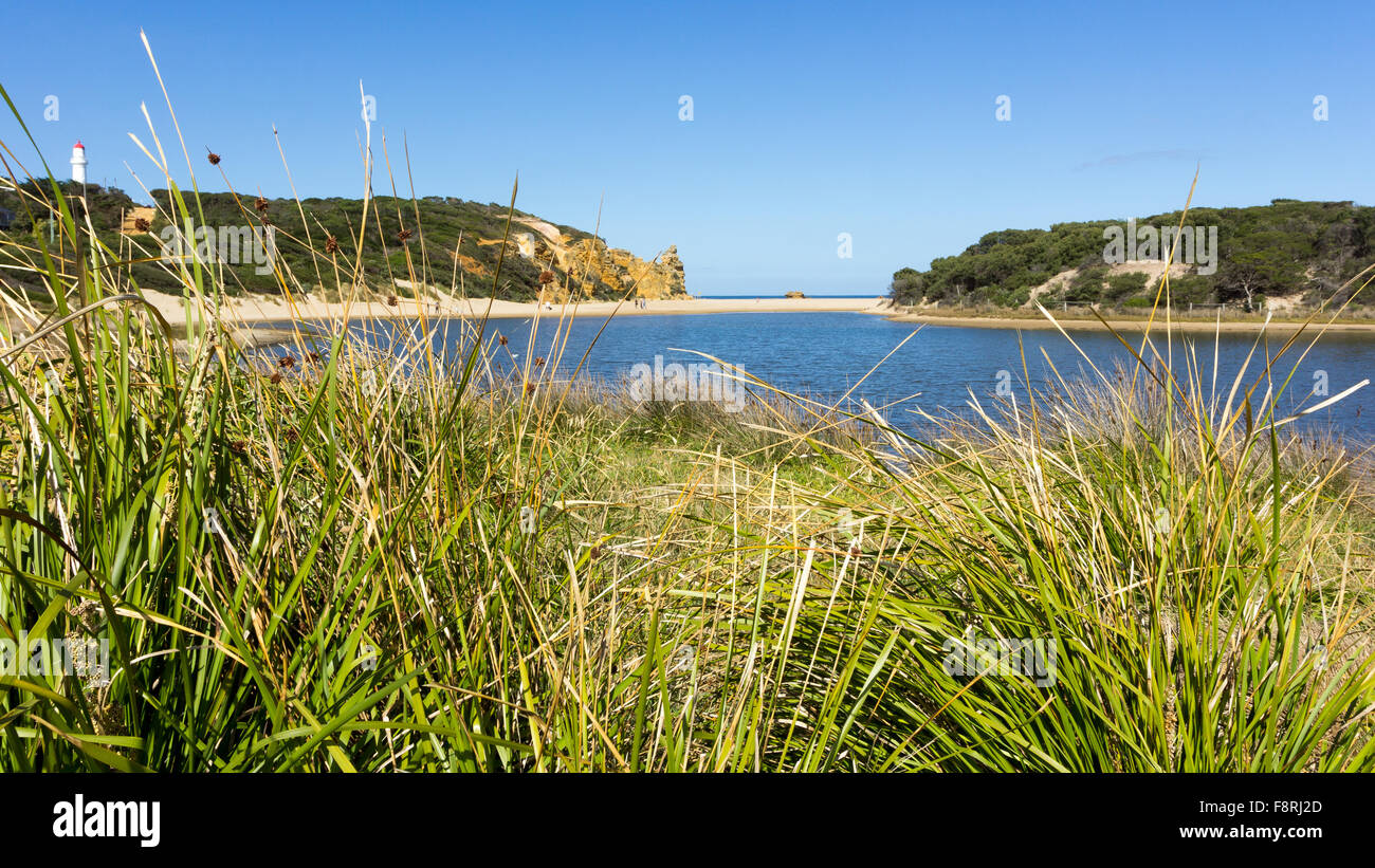 Küste, Victoria, Australien Stockfoto