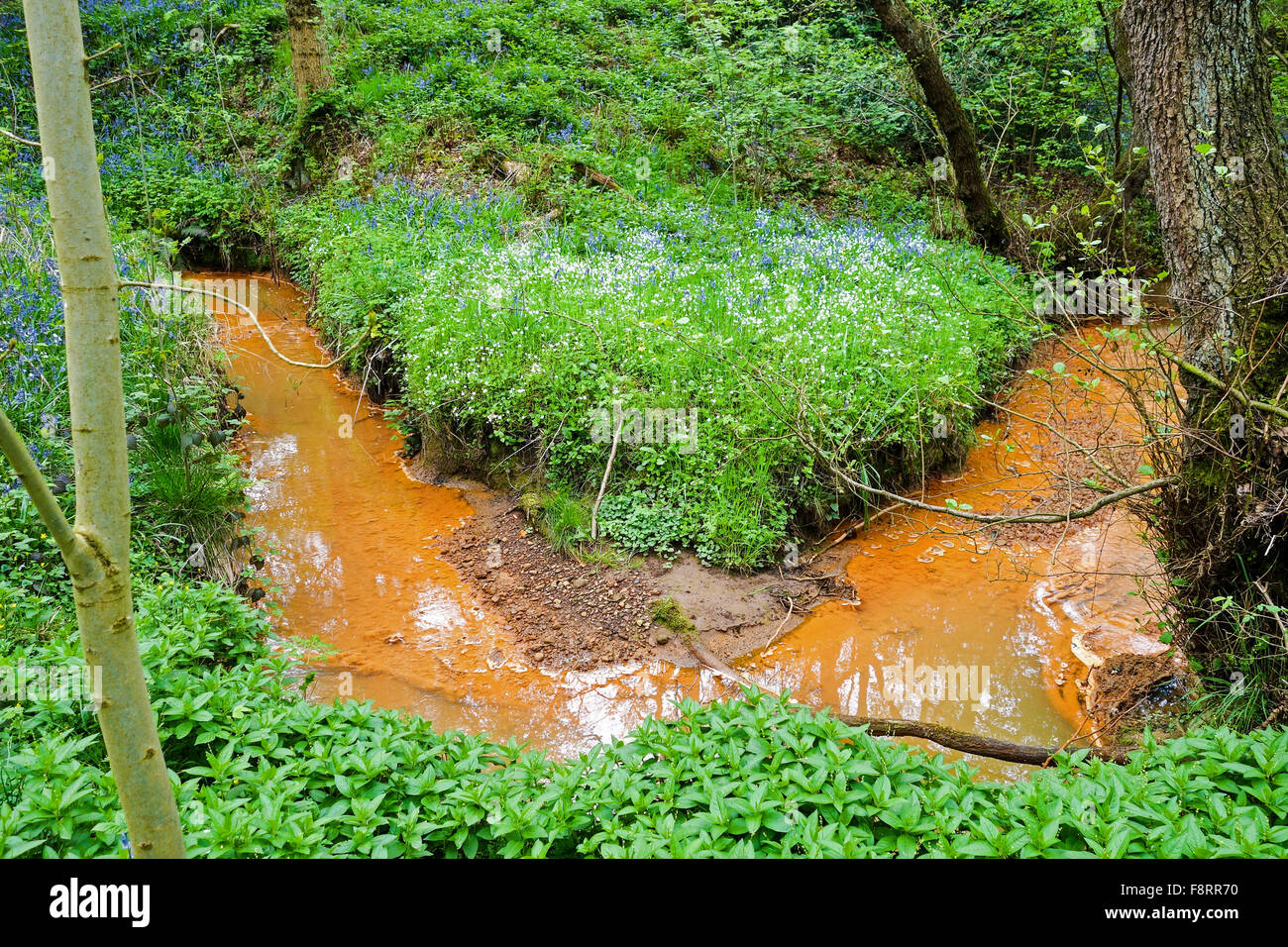 Orange Wasser aus der Grube Wellen Papagei Drumble Nature Reserve Talke Gruben Stoke on Trent Stoke Staffordshire England UK Stockfoto