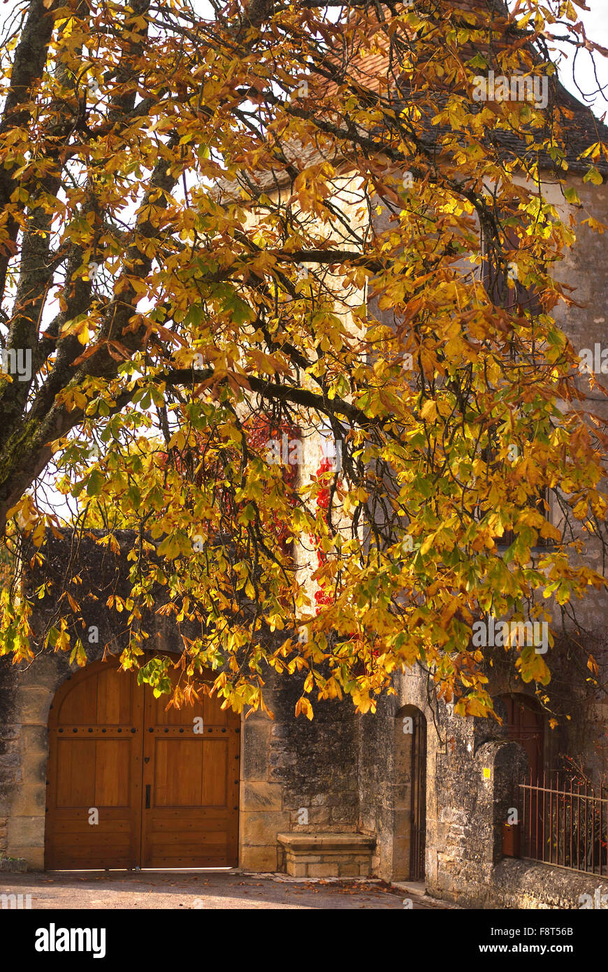 Domme Dorf, Dordogne, Frankreich Stockfoto