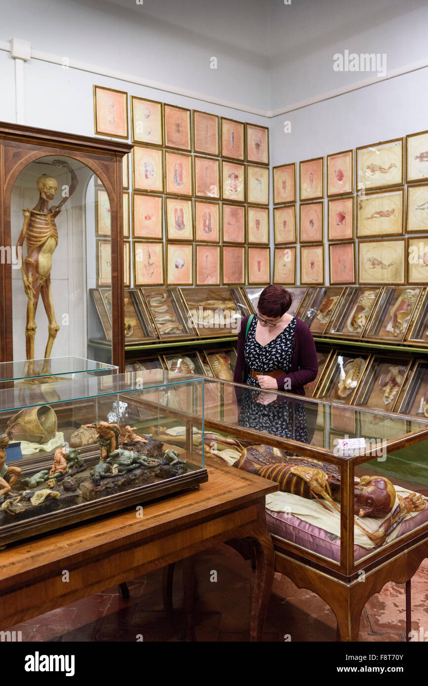 Florenz. Italien. Sammlung von 18. Jahrhundert anatomische Wachsmodelle bei La Specola, Museum für Zoologie und Naturgeschichte. Stockfoto