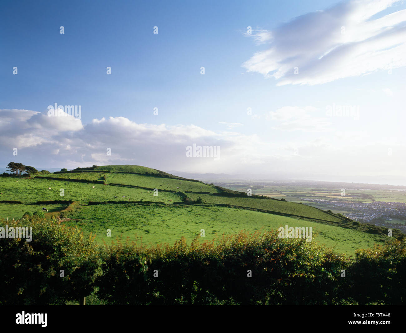 Bronzezeit runden Grabhügel & eine neolithische Siedlung am Gipfel des Bryn Llwyn Hang, aussehende SW aus Gwaenysgor Sicht, Flintshire. Stockfoto