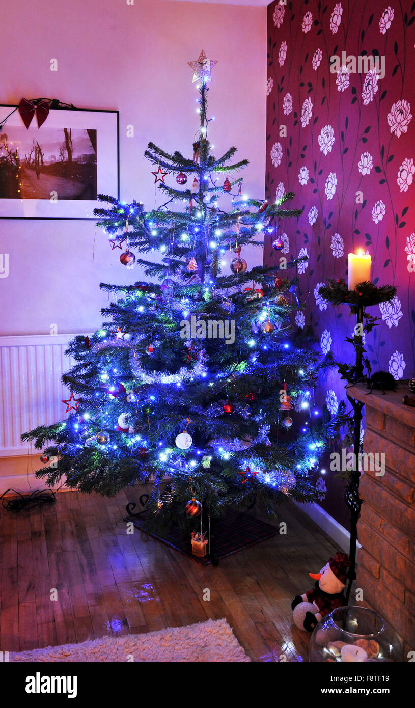 Traditionellen echten nordischen Tanne Weihnachtsbaum mit Lichtern und Dekorationen stehen in der Ecke des Wohnzimmers für Festtage Stockfoto