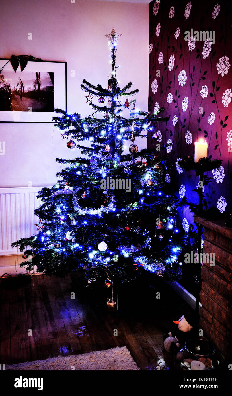 Traditionellen echten nordischen Tanne Weihnachtsbaum mit Lichtern und Dekorationen stehen in der Ecke des Wohnzimmers für Festtage Stockfoto