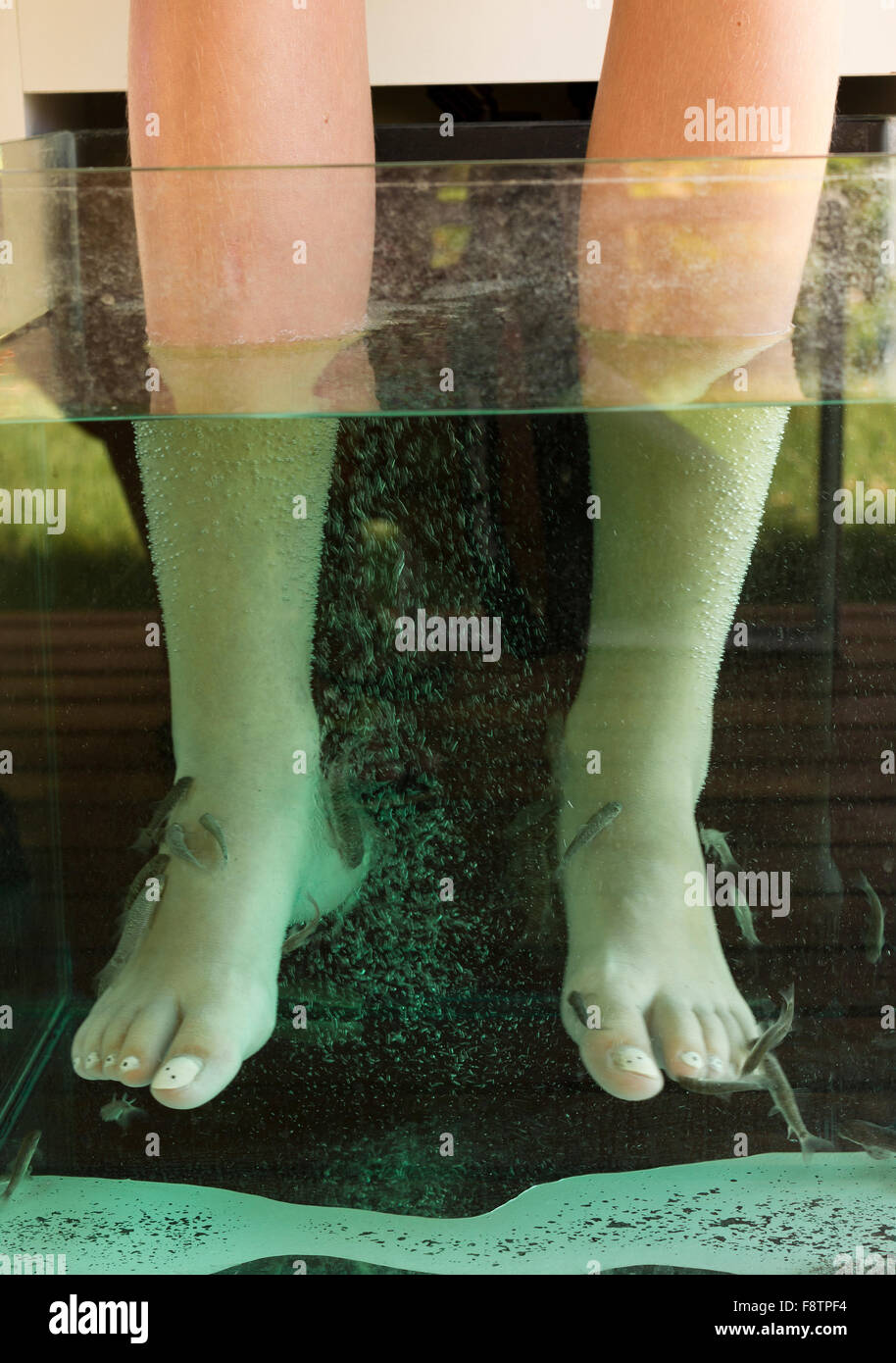 Fisch-Spa-Behandlung Stockfoto