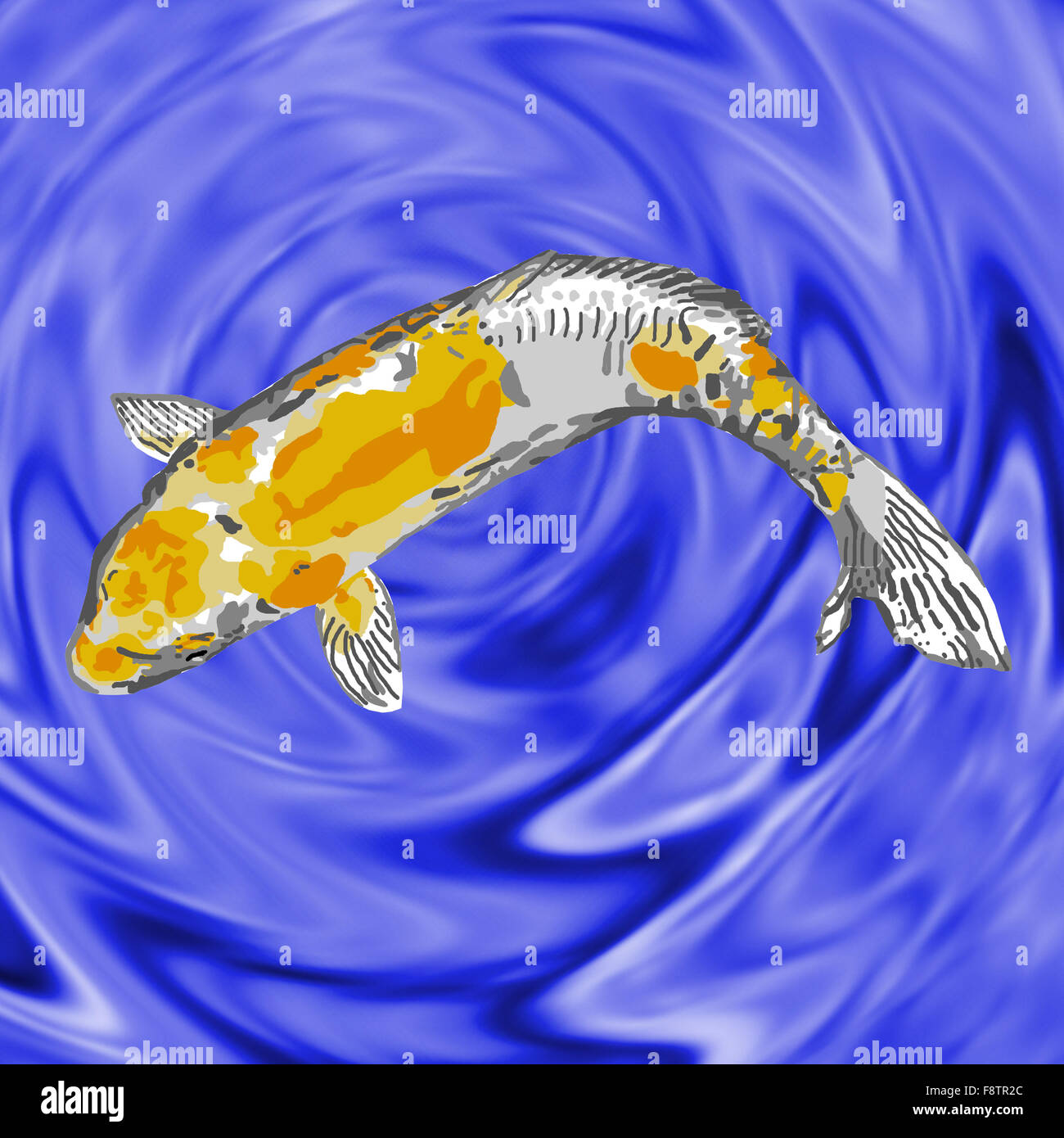 Goldener koi -Fotos und -Bildmaterial in hoher Auflösung – Alamy