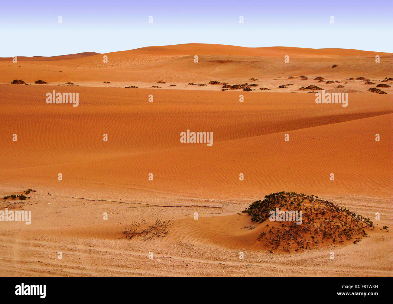 Kleinen roten Dünen der trockene Namib Wüste in Namibia in der Nähe von Swakopmund Stadt an der Atlantik-Küste, Südafrika Stockfoto