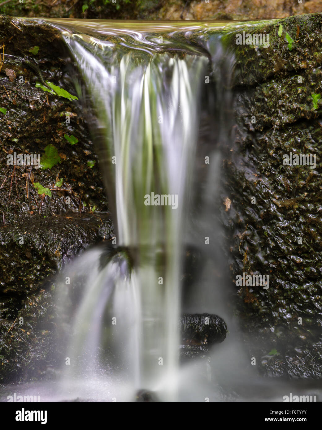 Nahaufnahme eines kleinen Wasserfall auf Laurel Ridge Trail in der Nähe von Buford Dam in Buford Georgien Stockfoto