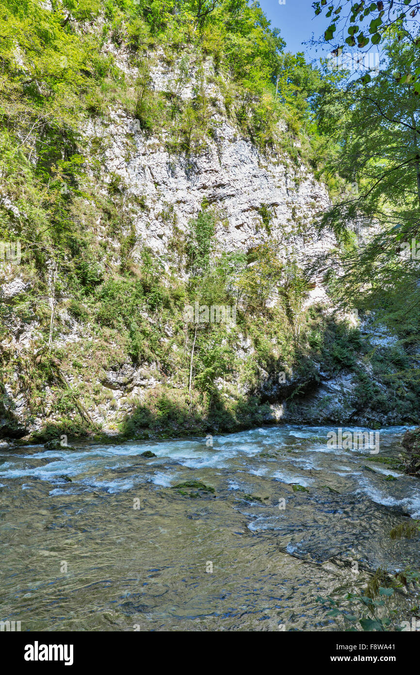 Vintgar-Schlucht mit rauen Fluss Radovna durchströmt. Bled, Slowenien. Stockfoto