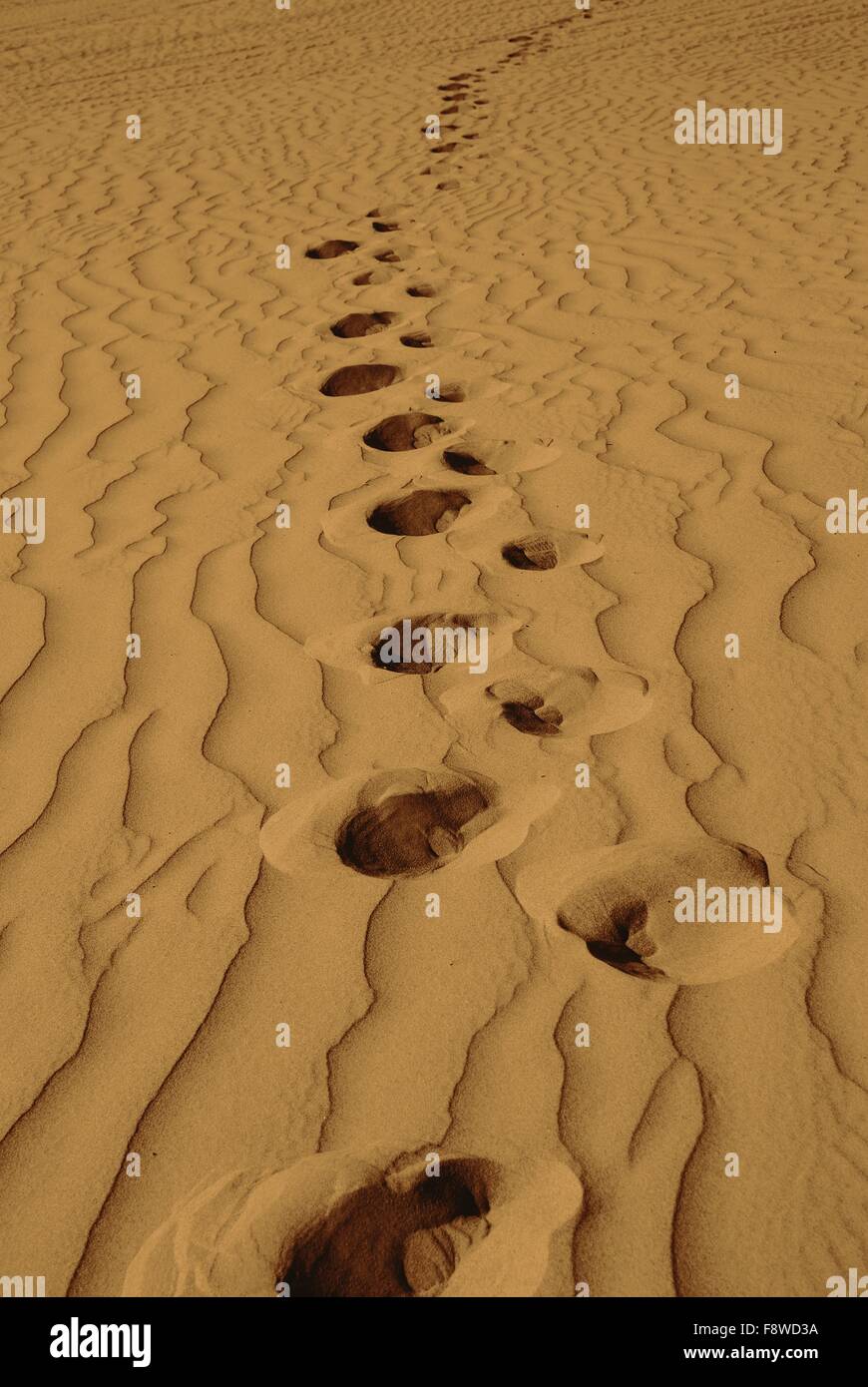 Druckleitungsnetzes Footprints in the Sand Stockfoto