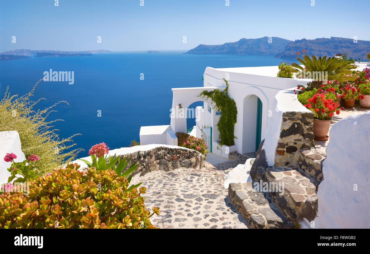 Santorini-weiße Häuser und Blumen - beliebte Ansicht in Stadt Oia, Santorin, Kykladen, Griechenland Stockfoto