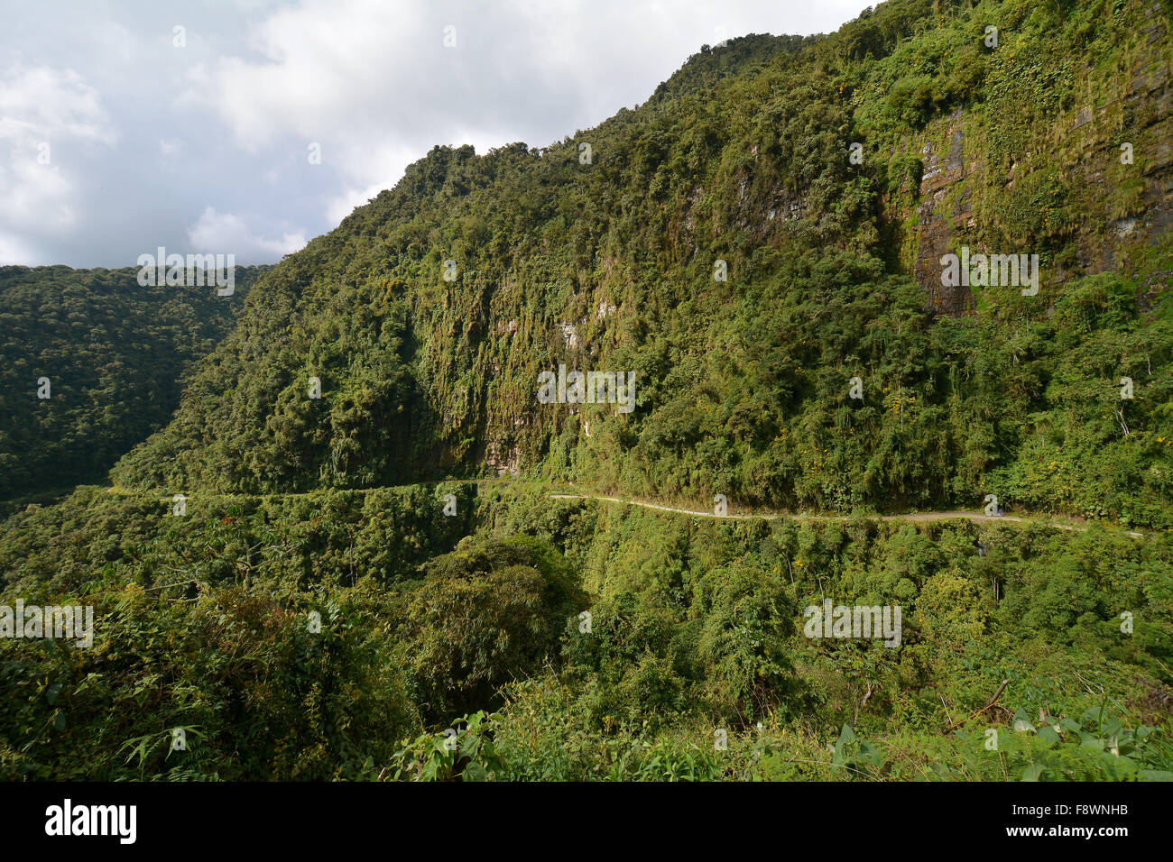 Tod Straße windet sich durch die subtropischen Regenwald, Camino de La muerte, yungas Straße zwischen La Paz und coroico, Bolivien Stockfoto