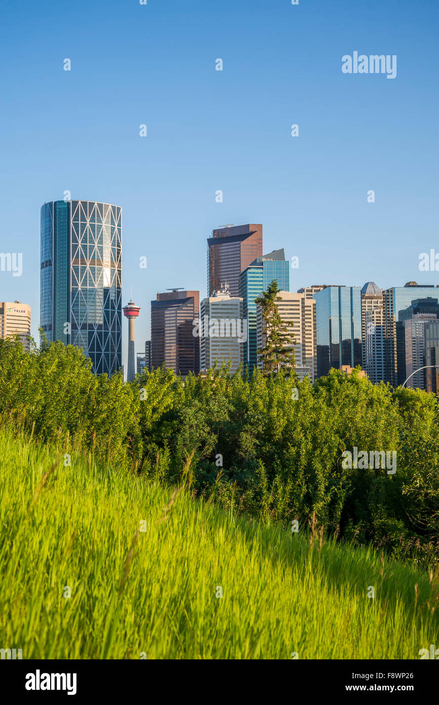 Skyline von Calgary, Calgary, Alberta, Kanada Stockfoto