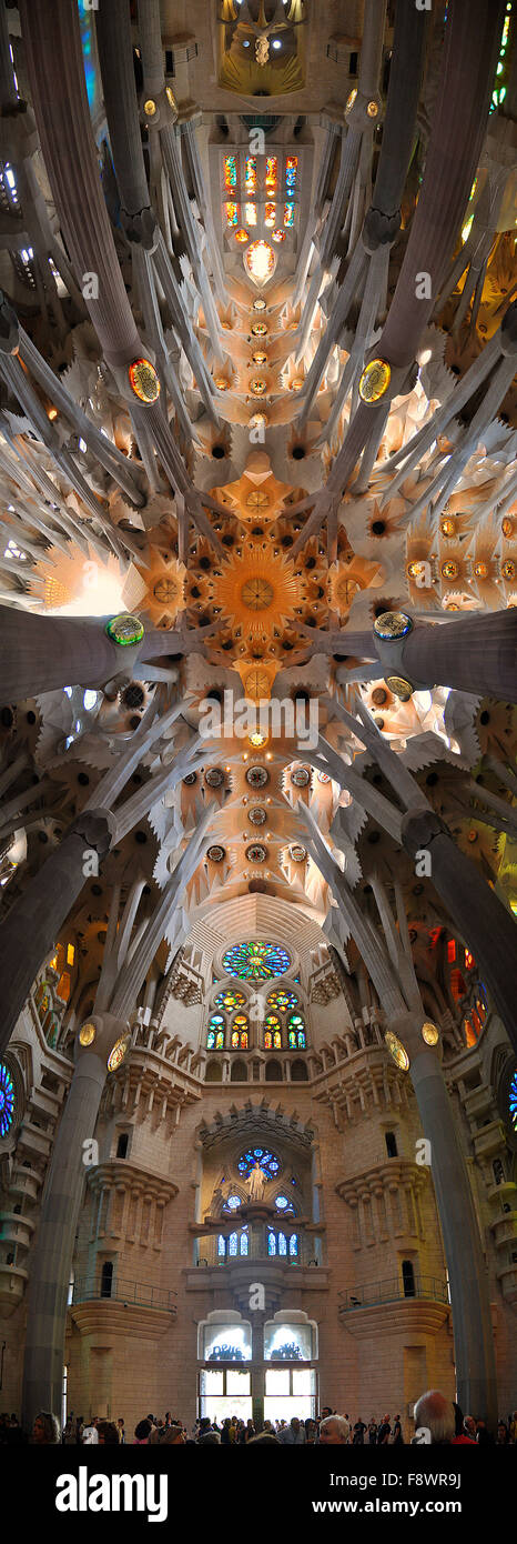 vertikale 180-Grad-Panorama in der Sagrada Familia, Barcelona, Katalonien, Spanien Stockfoto